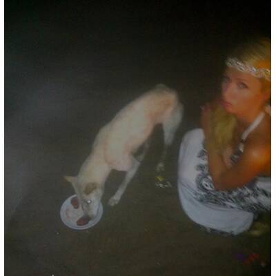 Paris Hilton: Ihre besten Twitter-Bilder