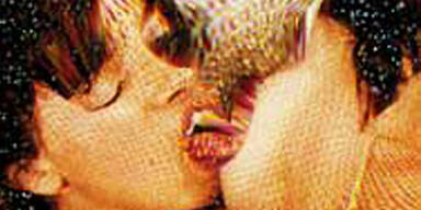 Heimisches Kino: Erotik und Pornografie