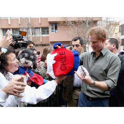 Prince Harry auf Besuch Chile