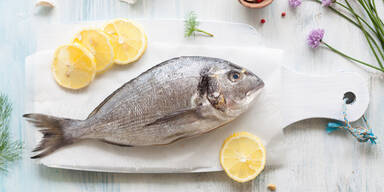 Fisch
