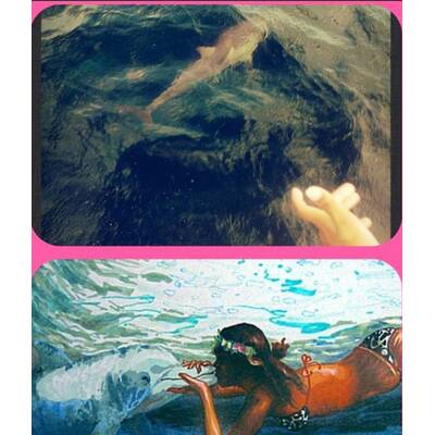 Kolibri im Malediven-Urlaub