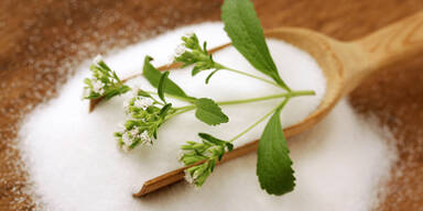 Stevia