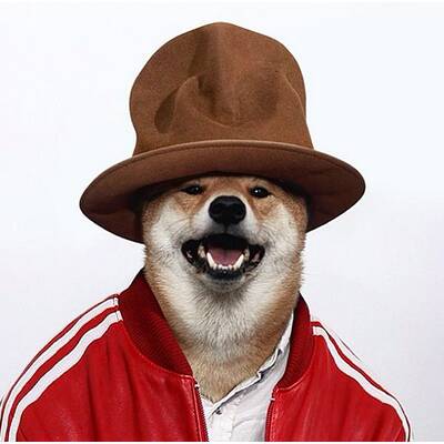 Menswear Dog