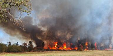 Waldbrand Gänserndorf