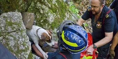 Hund "Spotty" nach zwei Tagen aus Felshöhle gerettet