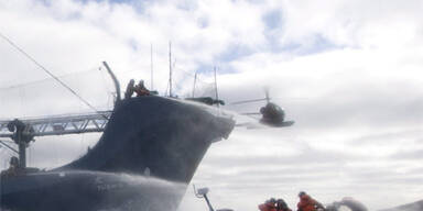 Walfangschiff kollidiert mit Tierschützern