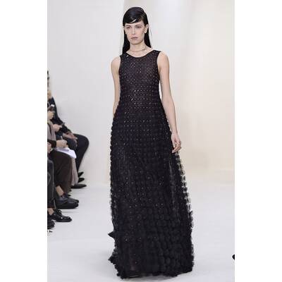 Dior Haute Couture F/S 2014