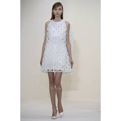 Dior Haute Couture F/S 2014