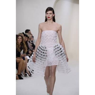 Dior Haute Couture F/S 2014