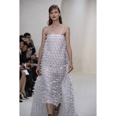 Dior Haute Couture F/S 2014