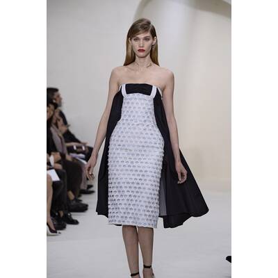 Dior Haute Couture F/S 2014