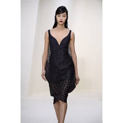 Dior Haute Couture F/S 2014