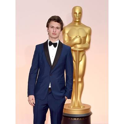 Oscars 2015: Die Stars