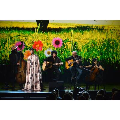 Katy Perry kommt im Vorhang