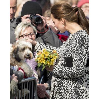 Herzogin Kate im Dalmatinerkleid