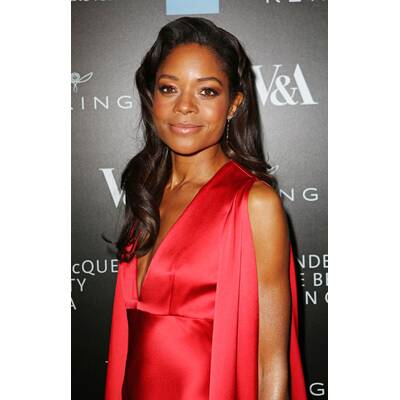 Alexander McQueen Savage Beauty Opening Gala 