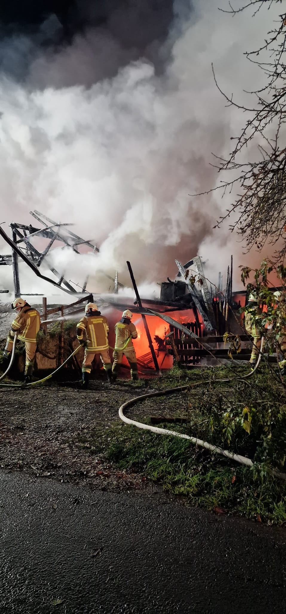 Brandinferno forderte 3 Verletzte und 4 tote Rinder
