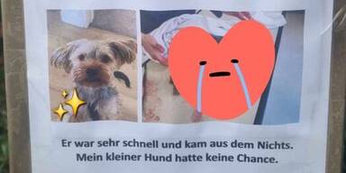 Stafford biss Yorkshire tot