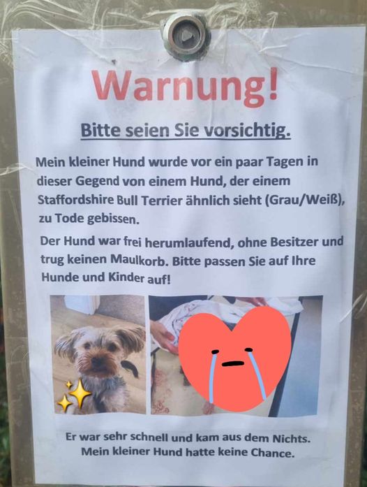 Yorkshire tot NÖ Pottendorf