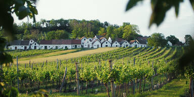 Wein erleben, statt nur verkosten &ndash; Das Weinviertel l&auml;dt zum Bleiben ein