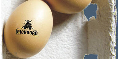 Manneswehen: Alles übers beste Stück