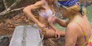 Dschungel-Prüfung: Nur ein Stern für Nico