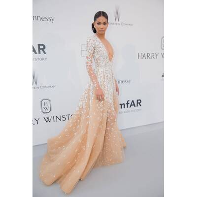 amfAR's 22nd Cinema Against AIDS Gala