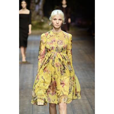 Dolce & Gabbana H/W 2014