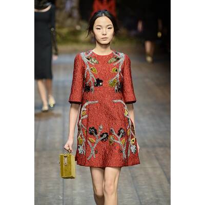 Dolce & Gabbana H/W 2014