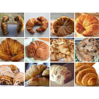 Entlein oder Kochbanane