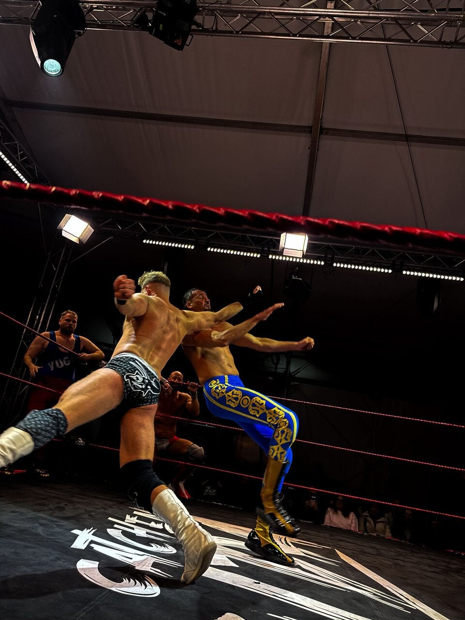 48761724-a555-4acd-bbf0-04733a3b4f68.jfif