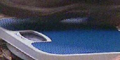 Dschungel-Prüfung: Nur ein Stern für Nico