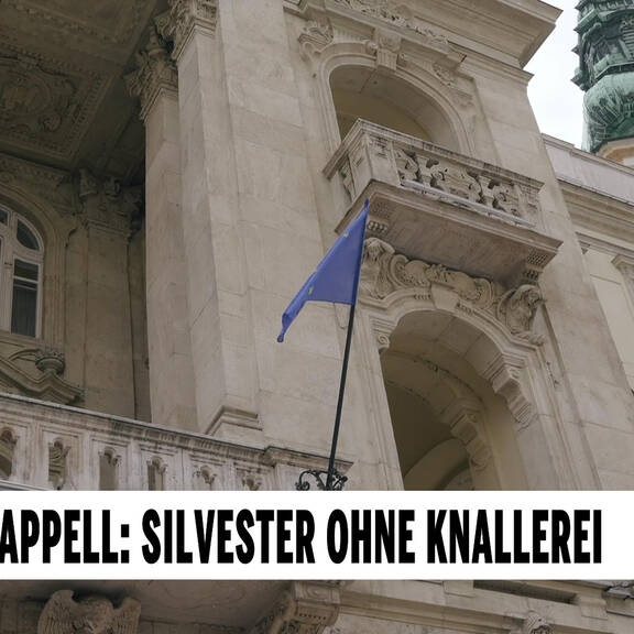 Tierischer Appell: Silvester ohne Knallerei