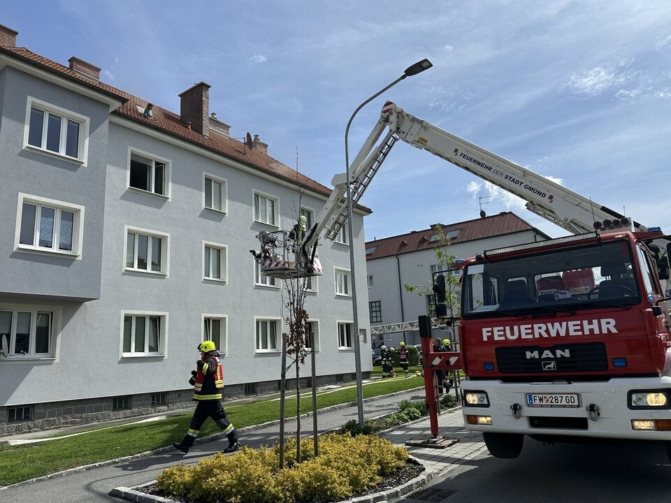 Feuer Drama tote Kinder Gmünd