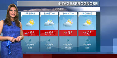 Die 4-Tagesprognose