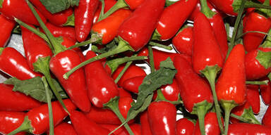 Das zügelt unseren Appetit