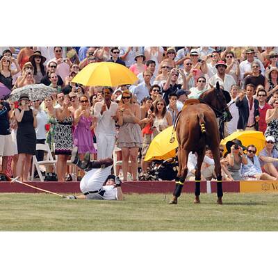 Polo-Turnier: Prinz Harry fiel vom Pferd