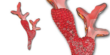 Top 10: Sommerschmuck