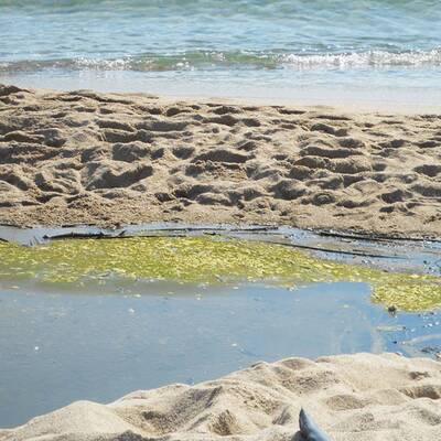 Hotel Valdor*** in Cavallino-Treporti / Italien