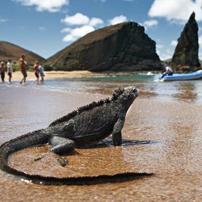 Platz 10: Madagaskar