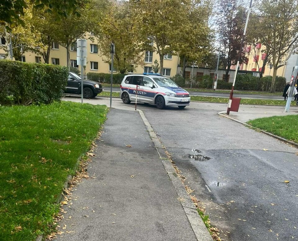Mädchen  in  Gemeindebau bedroht