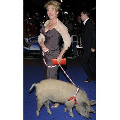 Eine zauberhafte Nanny - Knall auf Fall in ein neues Abenteuer