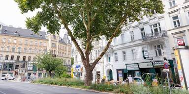 Millionen-Budget beschlossen: SPÖ-Margareten ortet grüne "Klientelpolitik"