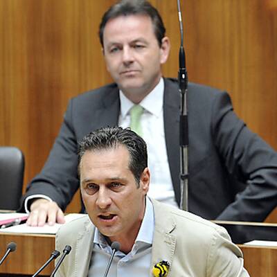 Die Bilder zur Bienen-Sitzung