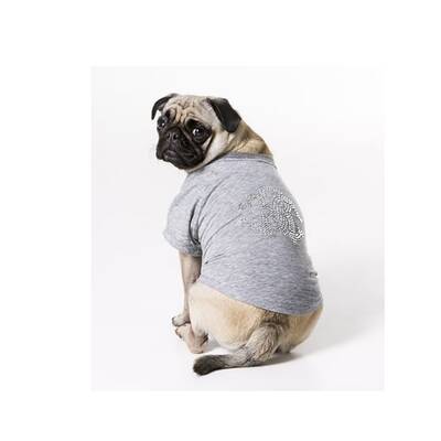 Eva Cavalli kleidet Tiere ein