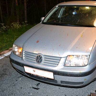 Bilder: Verletzte bei Unfall mit Reh