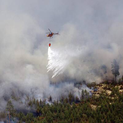 Größter Waldbrand aller Zeiten