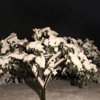 Steinach am Brenner (Tirol)