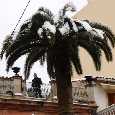 Schneefall im Februar 2012