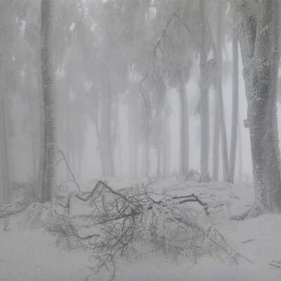 Waidhofen an der Thaya, NÖ